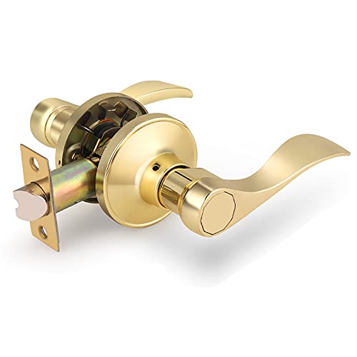1 Polished Brass Passage Lever Hallway Closet Door Lock,Inte