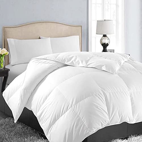 EASELAND All Season Queen Size Soft Quilted Down Alternative