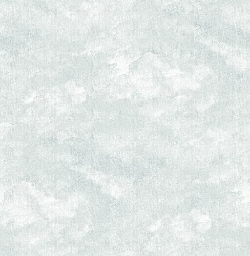 NuWallpaper Blue Declan Peel and Stick Wallpaper, NUS4989