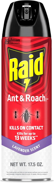 Raid  - Ant & Roach Killer Spray - 17.5 Oz