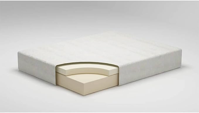 Mattress (Twin-King)