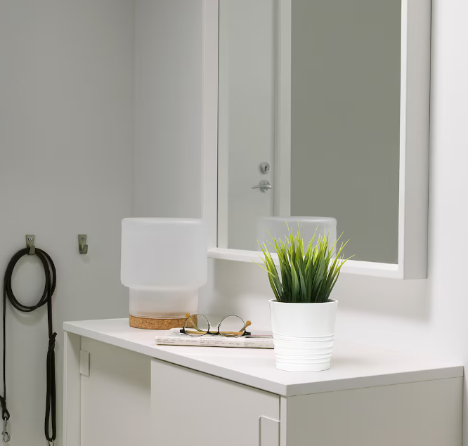 Small Décor Plant