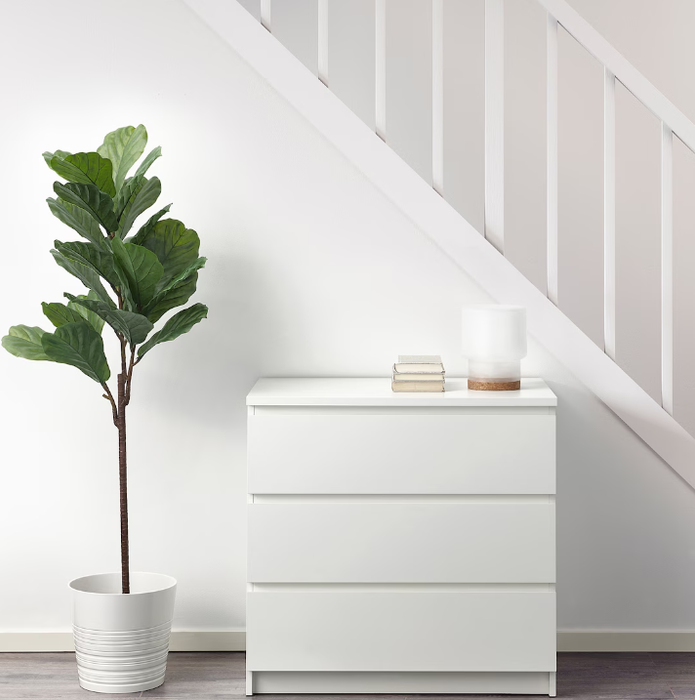 Large Décor Plant Fiddle-Leaf Fig