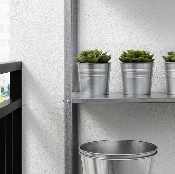 Small Décor Plant (Variation)